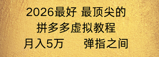 pdd虚拟店懒人运营法，机器人包办回复发货，月入1-5W教程