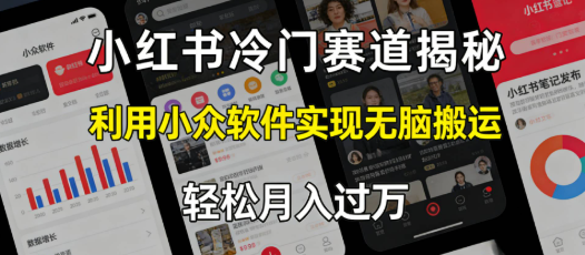 小某书冷门赛道揭秘,利用小众软件