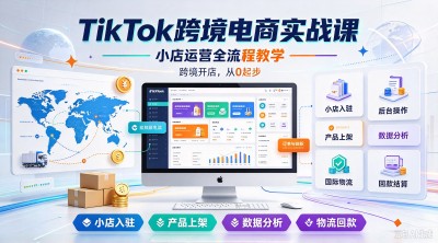 TikTok 跨境电商实战课，小店运营全流程教学