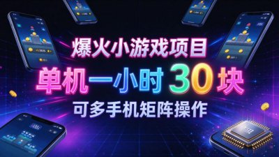 爆火小游戏撸金项目，实测单机一小时30+